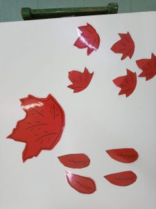 IMG 20211111 091049