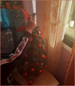 ΧΡΙΣΤΟΥΓΕΝΝΙΑΤΙΚΟ ΔΕΝΤΡΟ 20211201 092919