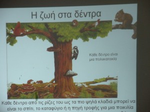 kpe 004