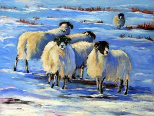 Winter Flock2