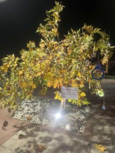 IMG 4593edb6889ca96d9b76916a80a3cbeb V