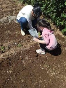 IMG 3b5fbdd5da0bc087f9d5535e0f8c92e1 V