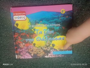 IMG 20250515 174251 1