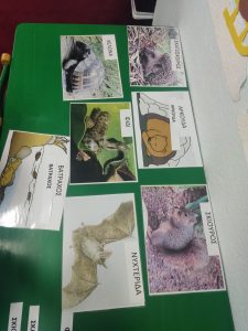 IMG 20230123 100623