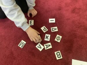 IMG 7826