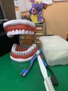 IMG 0617