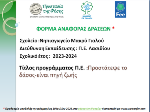 Στιγμιότυπο οθόνης 2024 11 08 180334