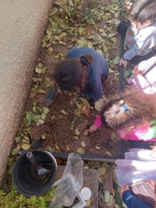 IMG 16da0daacb0e9f0371c5acf44580eaf8 V