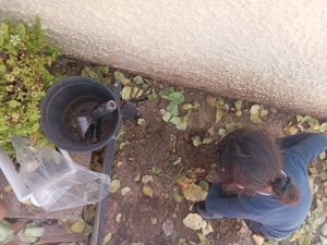 IMG 573b5f5d09b5b3d05cd7e8d88e3a2bef V