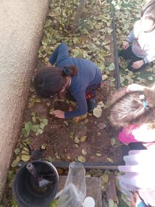 IMG 8ef31676417db03a3d5c1bdb654f57cf V