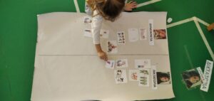 IMG 16fef067be0041ea52a94142cd7d4c47 V