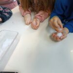 IMG 1a69d37bed5dd9caf10bb7f72c3e19fc V