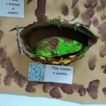 IMG f26cdff4d34e052a969106193f6f74de V