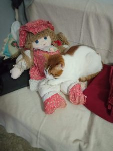 9c7c8661 d4e7 4bb6 84a2 ef891a02f80a 1 all 5938