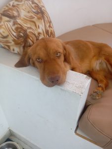 IMG b3595f3538e044ac8b6ead6f09db7030 V 1