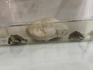 IMG bdf5123adbba0b2274a0e77e78fc6b6c V