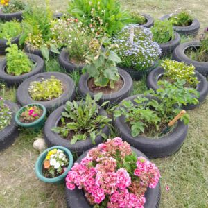 received 222639097331972