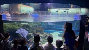 IMG 718cae333c6308a0a2227f3a9b48fbb9 V