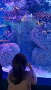 IMG a801b388a5e1a35b713cb0dc5f859b53 V