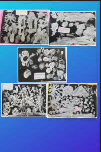 χειμωνας στιγμυοτυπο