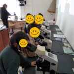 ΠΑΡΑΤΗΡΩΝΤΑΣ ΜΙΚΡΟΟΡΓΑΝΙΣΜΟΥΣ ΣΤΟ ΜΙΚΡΟΣΚΟΠΙΟ