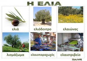 ΕΛΙΑ ΚΑΙ ΤΟ ΛΑΔΙ ΛΙΣΤΑ ΑΝΑΦΟΡΑΣ Σελίδα 1 1