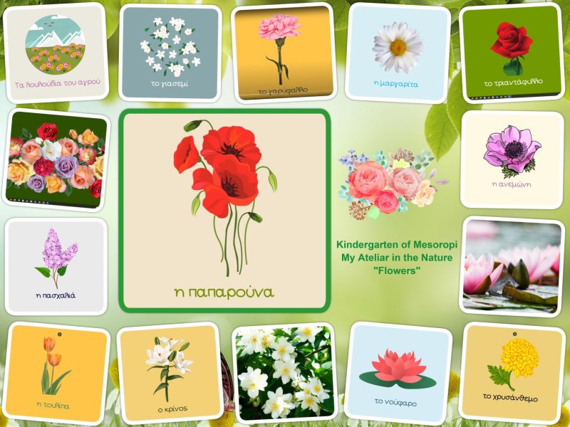 flowers video