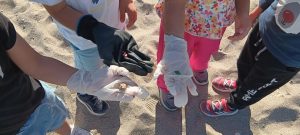 E488560D 80C0 4250 9480 35C83D3D363F