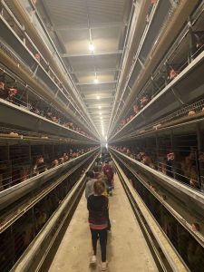 nipiagogeio missirion 2