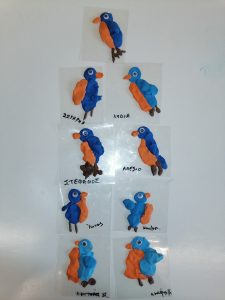 IMG 20220216 113611