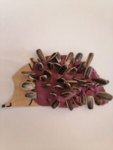 IMG 20231020 123616
