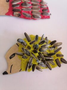 IMG 20231020 123639