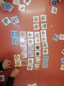 IMG 20231106 150012