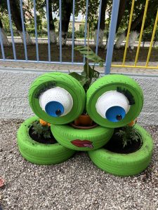 IMG 6617