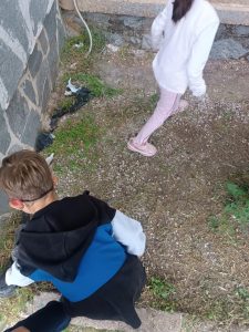 Messenger creation CE1D093B D33D 4114 BBC6 A2220322CEBA