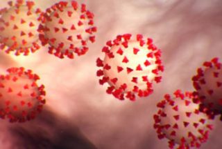 The Defense Department is making plans to combat the coronavirus, DOD leaders said today during a news conference. (Photo Credit: U.S. Army)