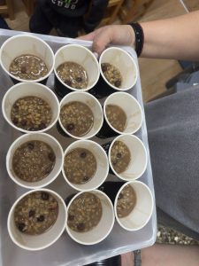 IMG bde0e6db3a1e4aa40617960e3fc18b00 V