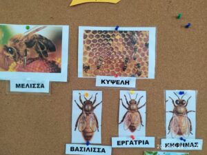 received 746464703781721