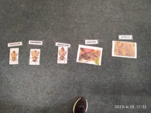 received 786425299554127