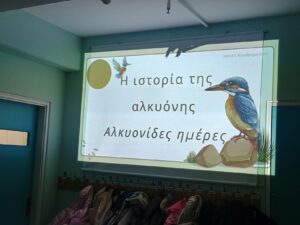 IMG 20250128 110804727 HDR 1