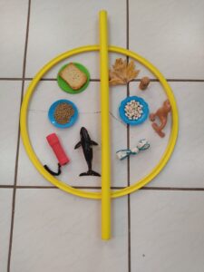 IMG bc5ccbb6c746eb9371331261b9b56103 V