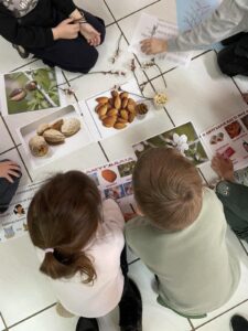 IMG 6f27a31cf1942fb6ec80c86acb47a02f V