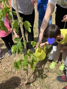 1c58b25c 7b65 441d 95e4 a0e01b118ba0