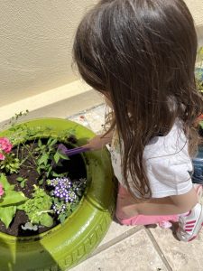 8647ced5 18a9 4ee8 b5db 97a8600c6849