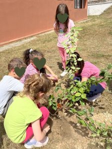 a323d43f 4287 448d 857a 621d6bf71a08