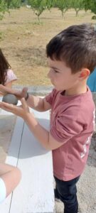 d1e51044 d77e 4880 aab0 06999aa2b182