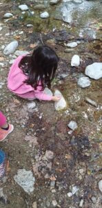 ee4a844d efbb 450b ba30 4daf844ab548