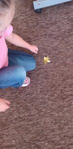 cd66bb3b 8c24 4ccf a861 74a1bfdd2e81 1