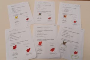 31878b69 5399 420a 9bd5 fb9d6dff973b