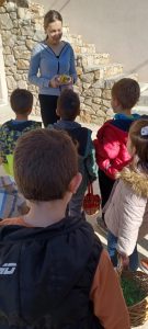 4944aa88 3c09 45bc b1d3 39b037c1354b